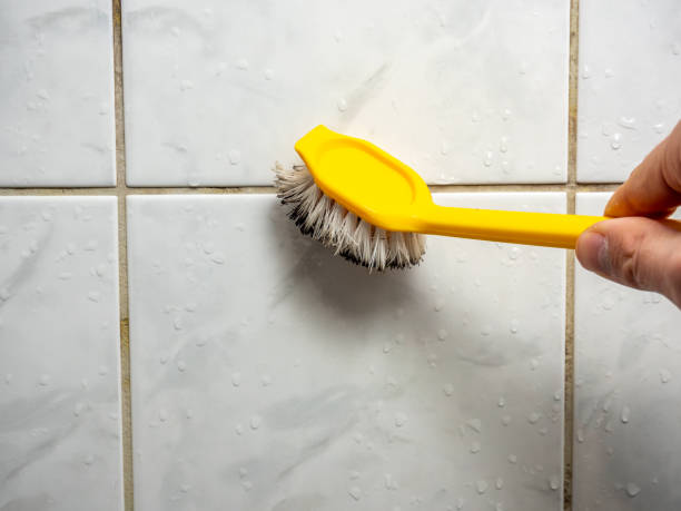 Best Fast Mold Removal  in Benson, UT