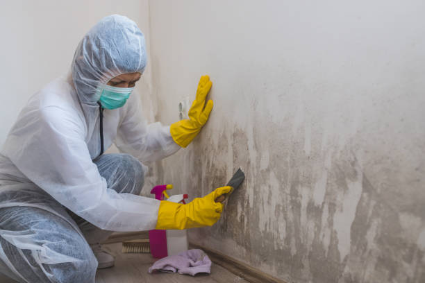 Best Mold Testing  in Benson, UT