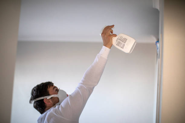 Best Mold Cleaning Services  in Benson, UT