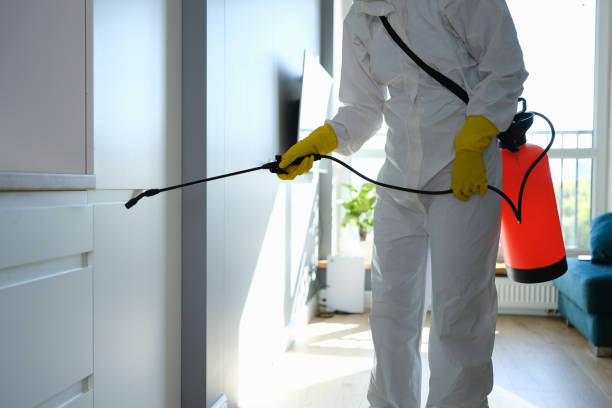 Best Mold Cleaning Services  in Benson, UT