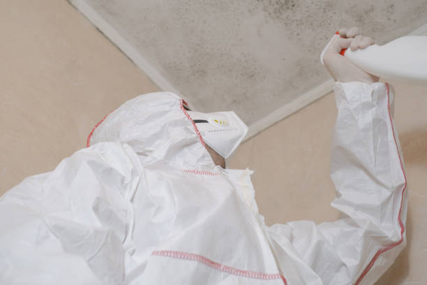 Best Mold Removal Company Near Me  in Benson, UT